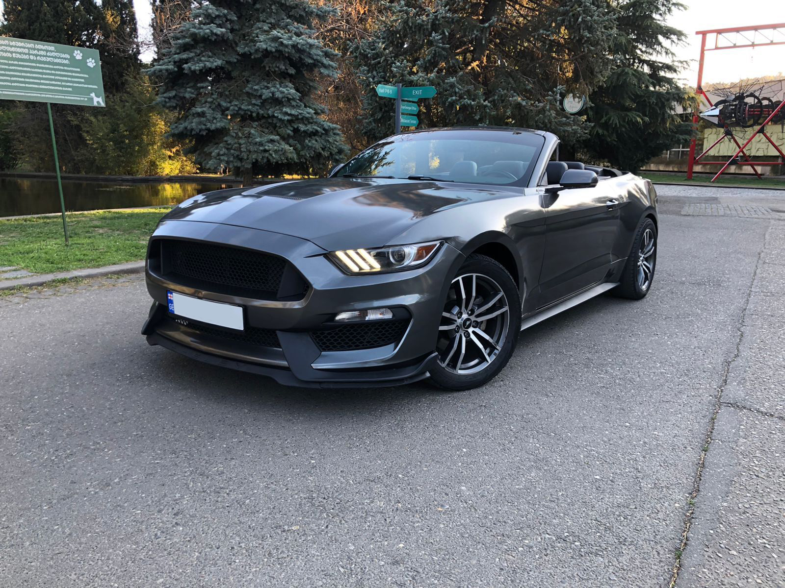 Ford Mustang Cabrio 